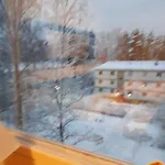 Viherkallio Two With Kitchen And Balkony *